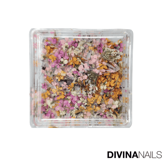 DRIED FLOWERS - SQUARE 03 - Fiori secchi per decorazioni unghie eleganti nail art - Divina Nails