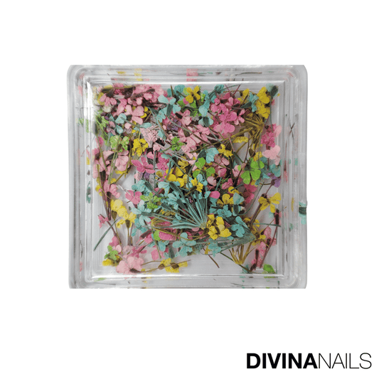 DRIED FLOWERS - SQUARE 01 - Fiori secchi per decorazioni unghie eleganti nail art - Divina Nails