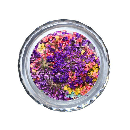 DRIED FLOWERS - BLOSSOM - Fiori secchi per decorazioni unghie eleganti nail art