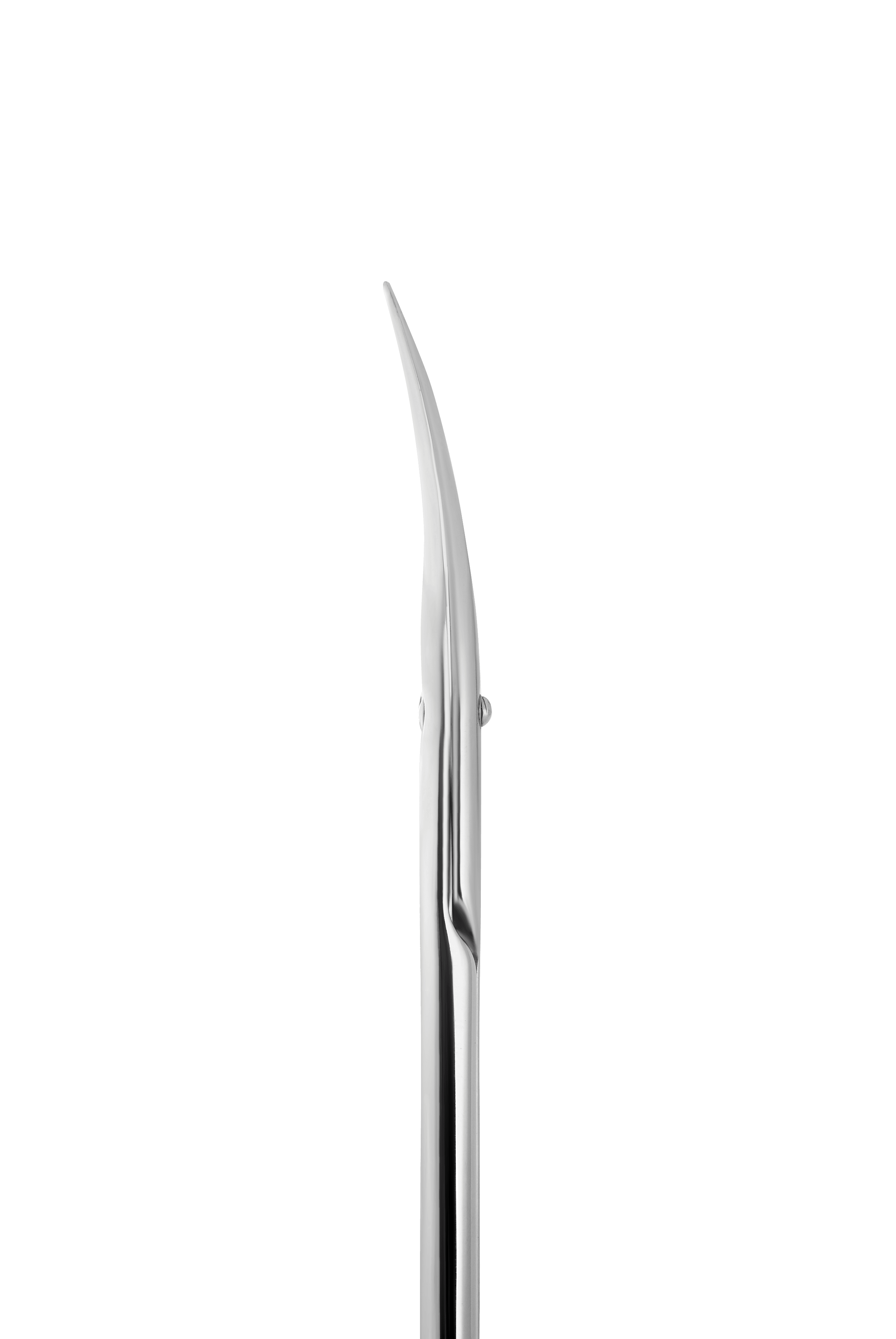 STALEKS EXCLUSIVE SX 20/1M - Forbicine professionali per cuticole con punta curva - Divina Nails